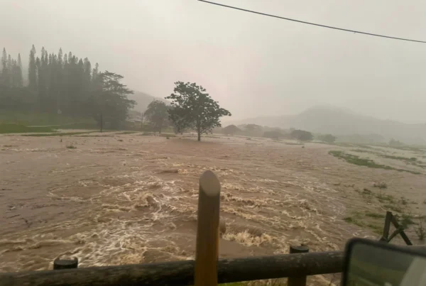Photo : Néouty Découvertes (Ponérihouen)